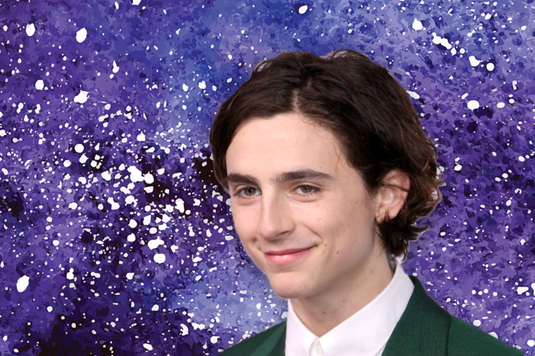 timothée chalamet funko pop