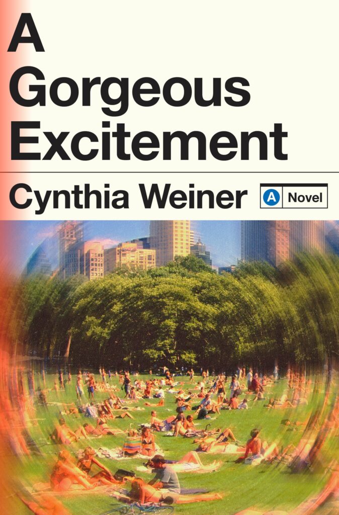 A Gorgeous Excitement by Cynthia Weiner